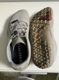 IMG_2209.jpeg