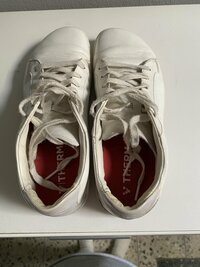 IMG_2211.jpeg
