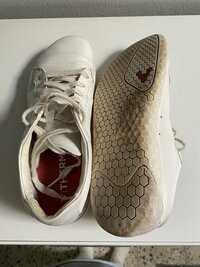 IMG_2212.jpeg