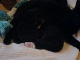 DSC00250.JPG