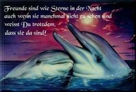 freunde1_1_.jpeg