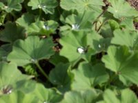 april_09.jpg
