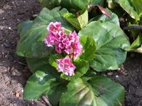 april_10.jpg