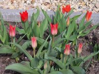 april_11.jpg