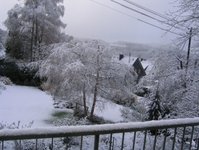 schnee2.jpg