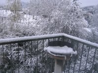 schnee1.jpg