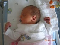 DSCN0763.JPG