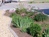 garten_05_1.jpg