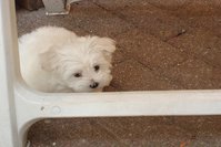 DSC02934.JPG