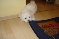 DSC02965.JPG