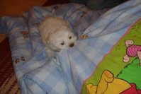 DSC02960.JPG