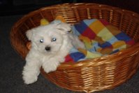 DSC02957.JPG
