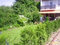 Garten3.jpg