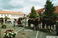 Kutsche.JPG