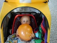 Fridolin im Hänger_kleiner.jpg