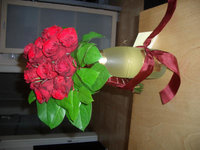 CIMG0017.JPG