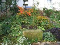herbst2.jpg
