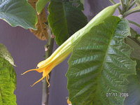 PICT0001.jpg