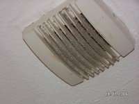 PICT0053.jpg