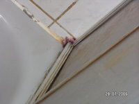 PICT0052.jpg