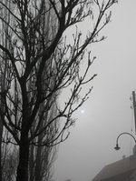 winter1.jpg