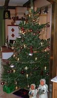 Christbaum.JPG