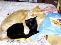 11.05.05-2.jpg