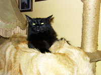 IMAG0029.jpg