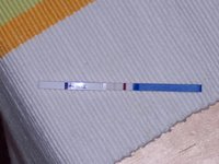 ss 018.jpg