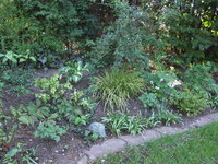 PICT2064.jpg