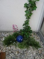 terrasse4.jpg