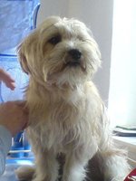DSC01009.jpg