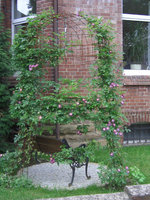 Rosenlaube.jpg