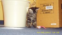Luna-Nutela Mahler Precht 008.jpg