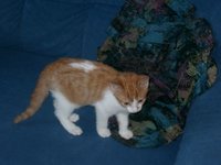 CIMG0009.JPG