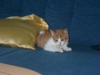 CIMG0013.JPG