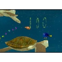 findetnemo3.jpg