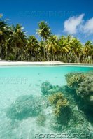 sueden-pazifik-franzoesisch-polynesien-tuamotus-~-73092501.jpg