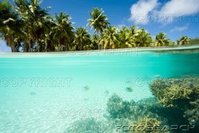 sueden-pazifik-franzoesisch-polynesien-tuamotus-~-73092502.jpg