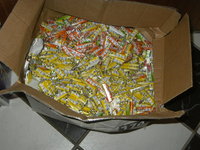 pez 003.jpg