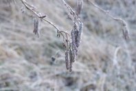 100_5112a.jpg