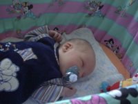Pict0013.jpg