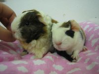 Hermine_und_Baby[1].jpg