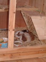 DSCF0040.jpg