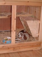 DSCF0039.jpg
