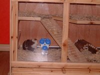 DSCF0020.jpg