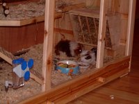DSCF0026.jpg