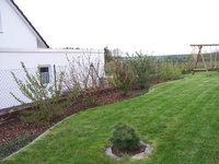 garten_1.jpg
