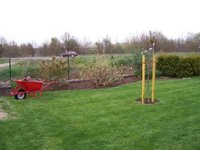 garten_3.jpg