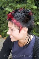 normal_kurzes_Haar_%2810%29.jpg